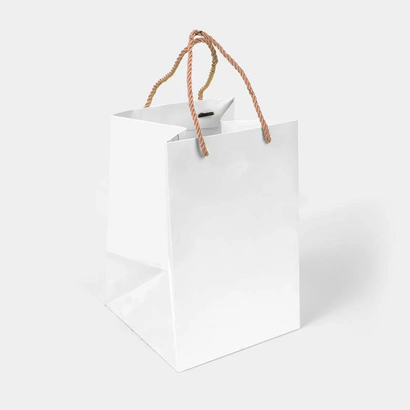 Wide Gusset Paper Bags